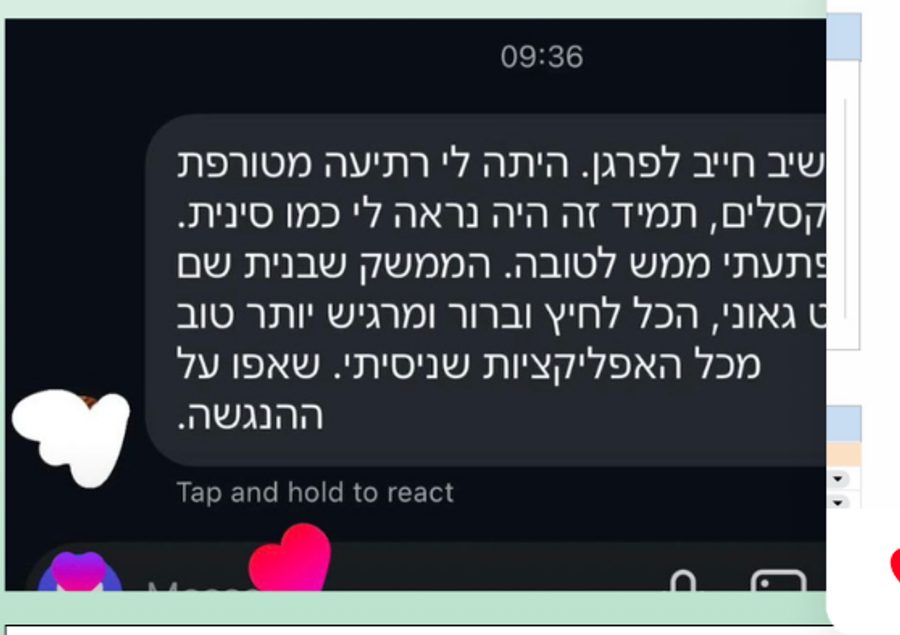 צילום מסך של הודעה מלקוח